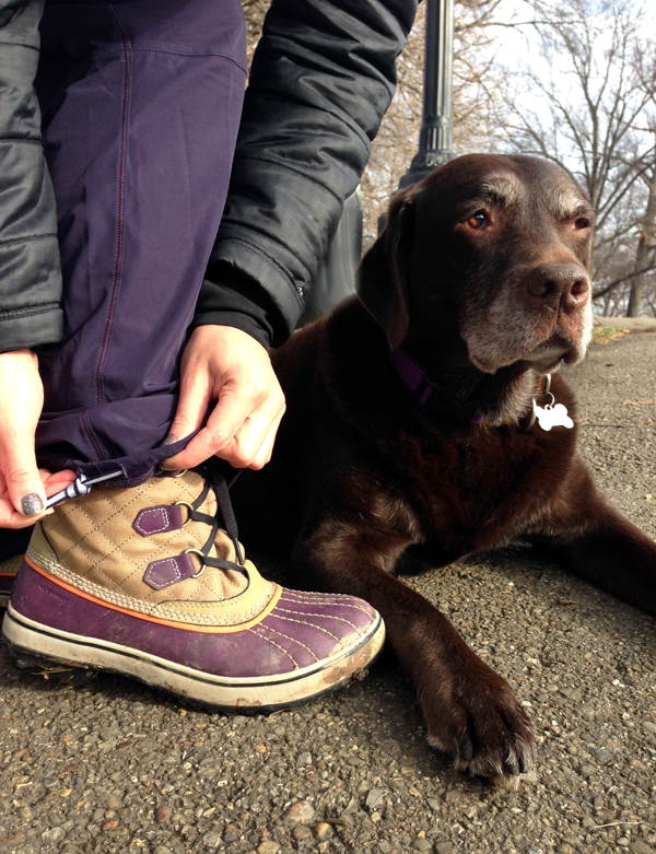 Product Review: Lululemon Dog Runner Pant - Wear Wag Repeat