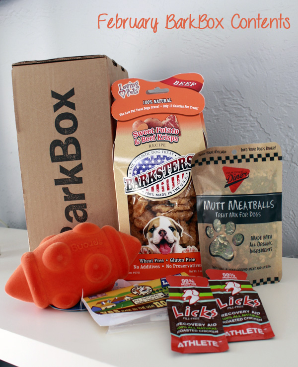 February BarkBox Treats Wear Wag Repeat