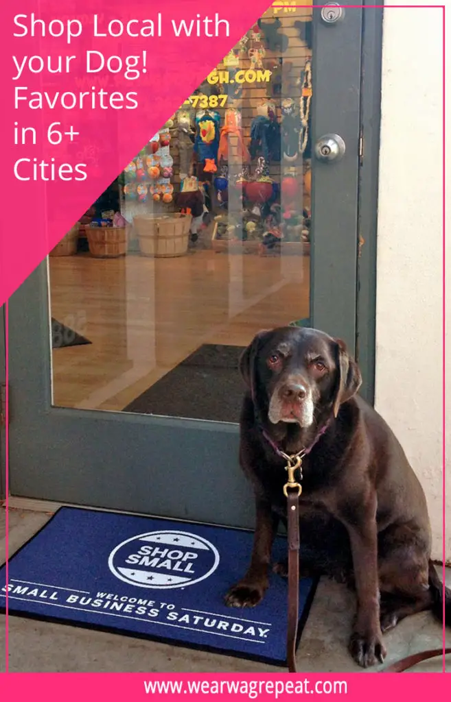 shop local with your dog