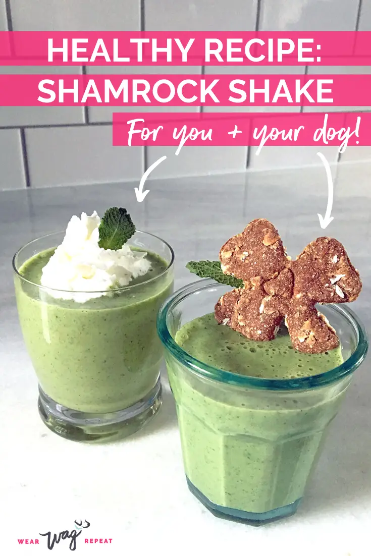 healthy shamrock shake for dogs