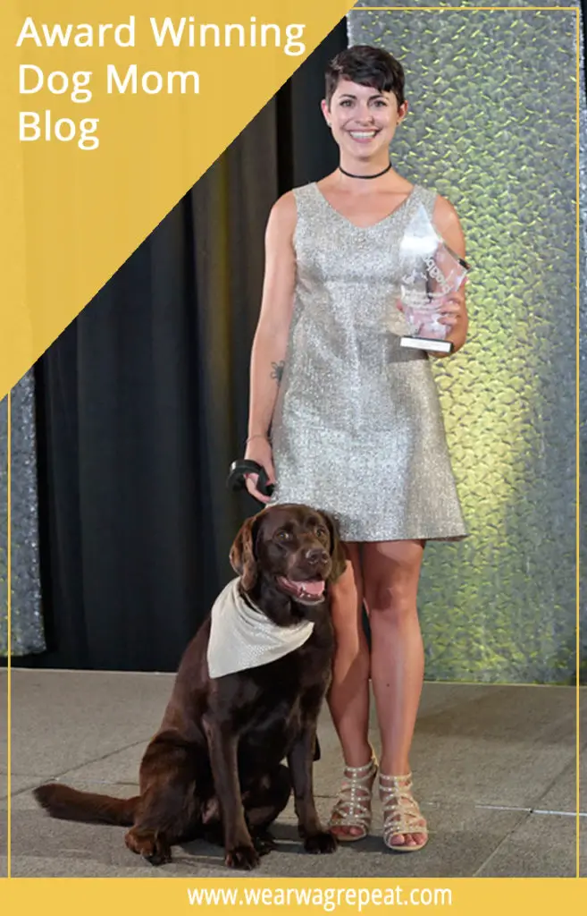 What It Feels Like To Have An Award Winning Dog Blog