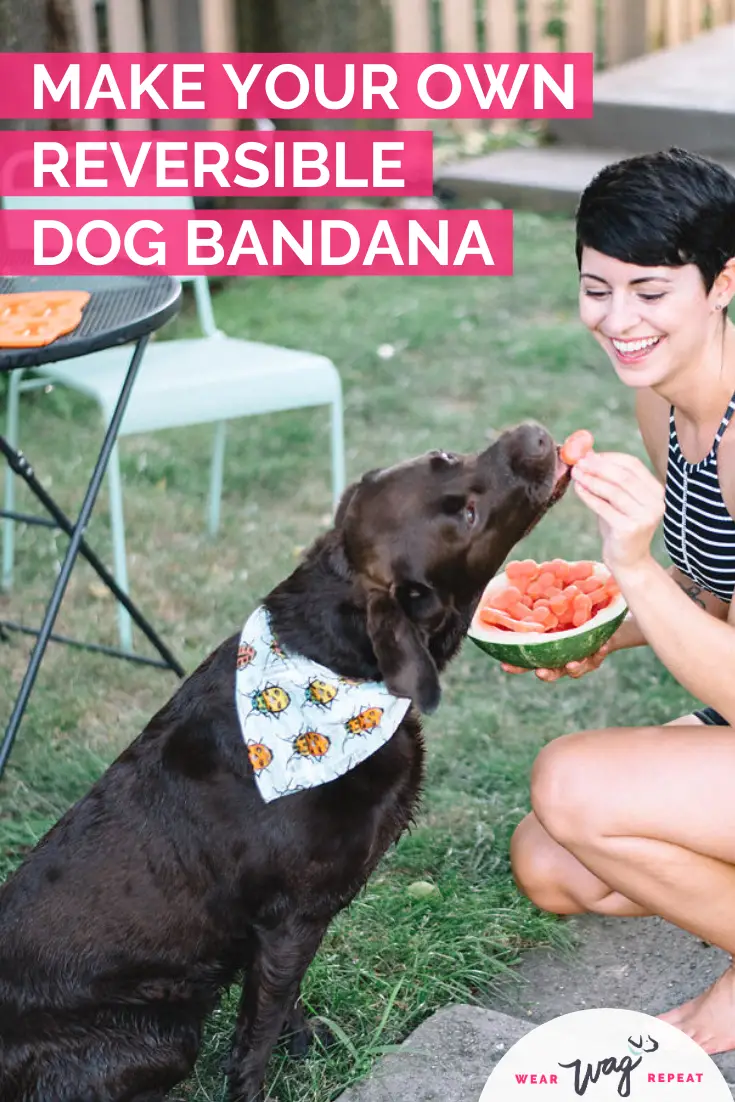 make your own reversible dog bandana