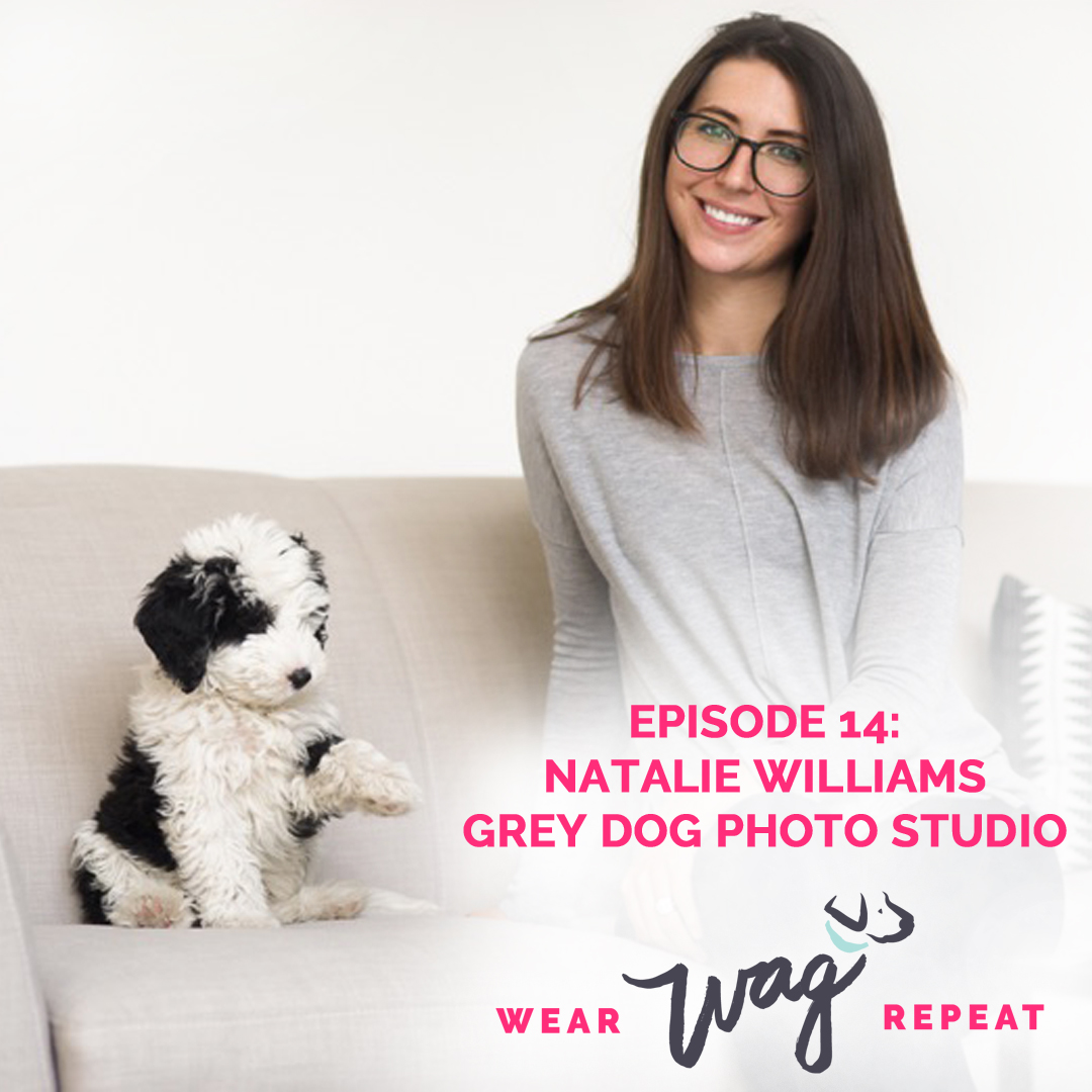 What's a West Paw Toppl and How Do You Use It? - Wear Wag Repeat