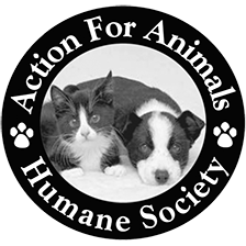 Action for Animals