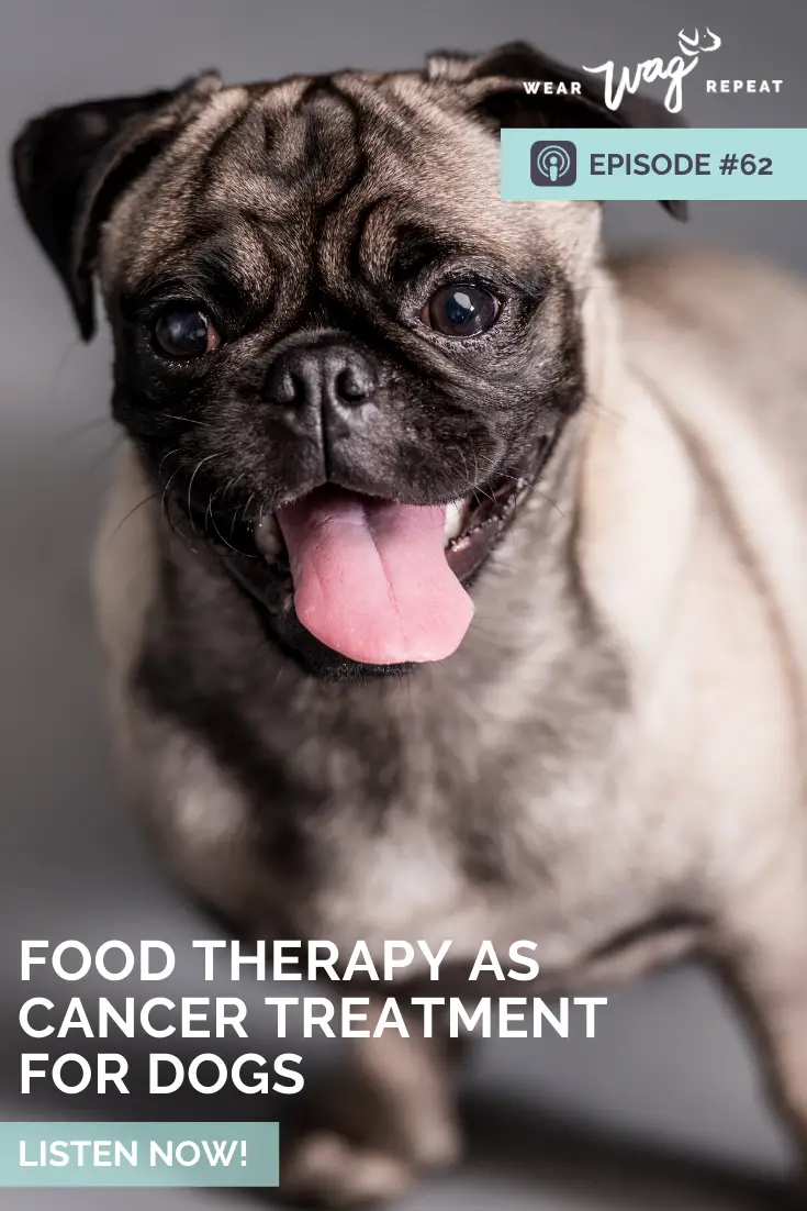 Food therapy as cancer treatment for dogs