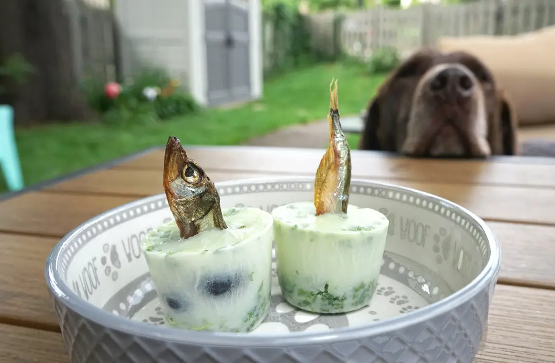 Try This: Super Healthy Goat Milk Pupsicle Recipe