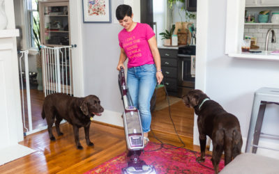 The Best Cleaning Tools to Get Dog Hair out of Anything