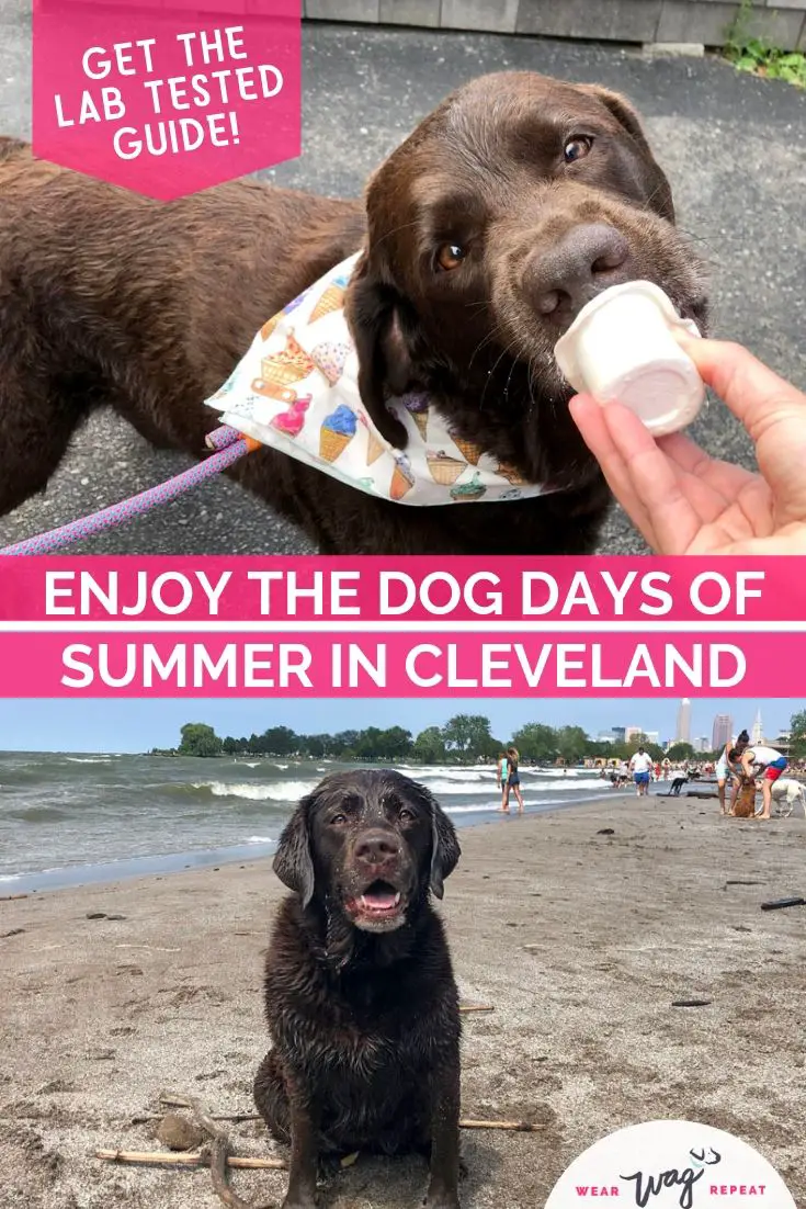 Dog Days of Summer in Cleveland