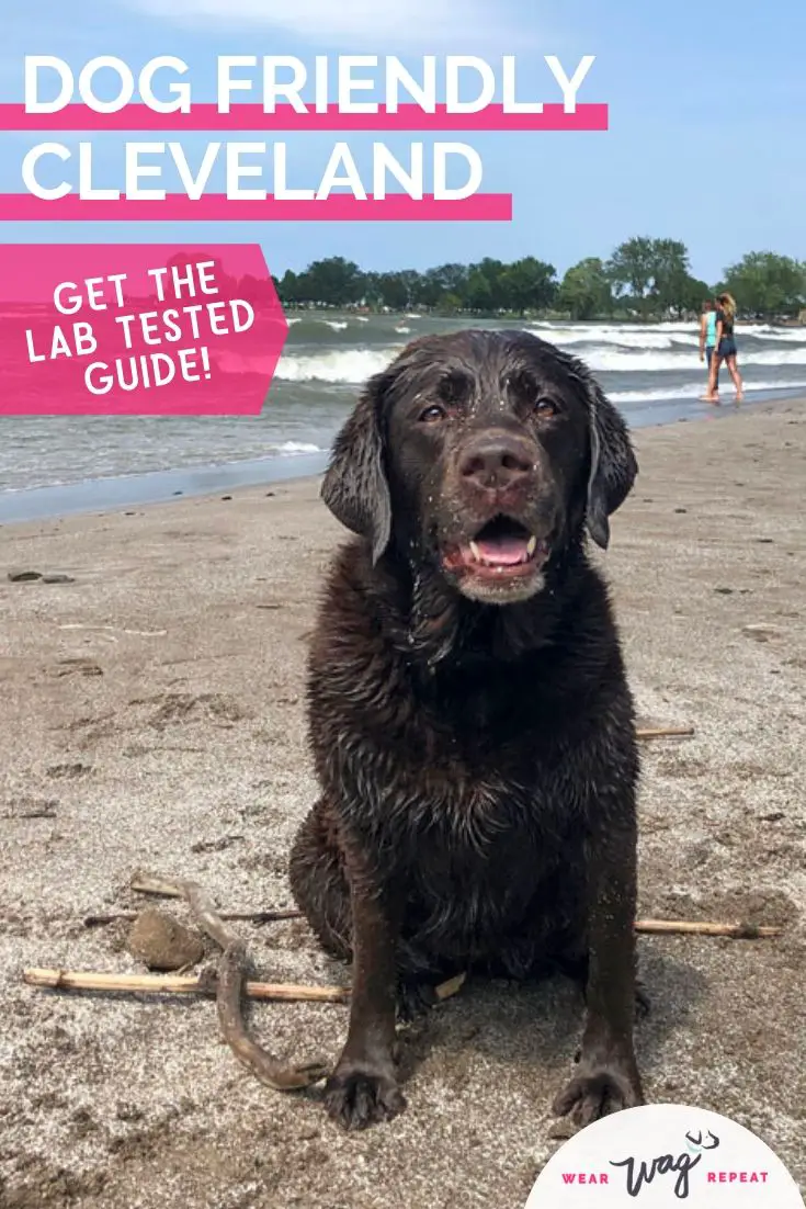 Dog Friendly Summer Day trip to Cleveland