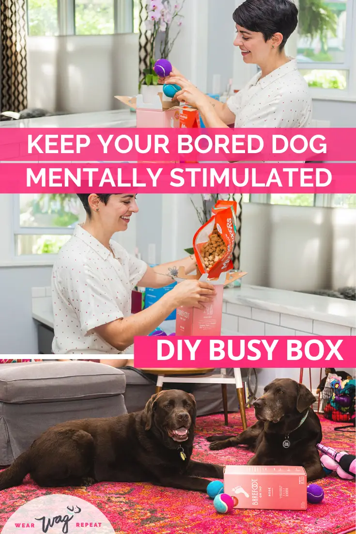 DIY Busy Box enrichment dog toy