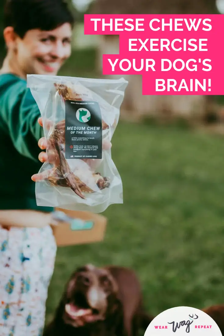 The Best Dog Chews for Mental Stimulation