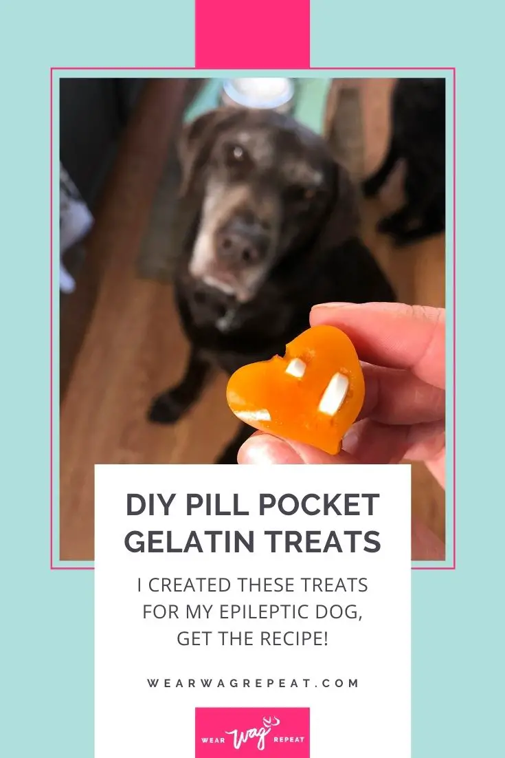 DIY pill pocket dog treats
