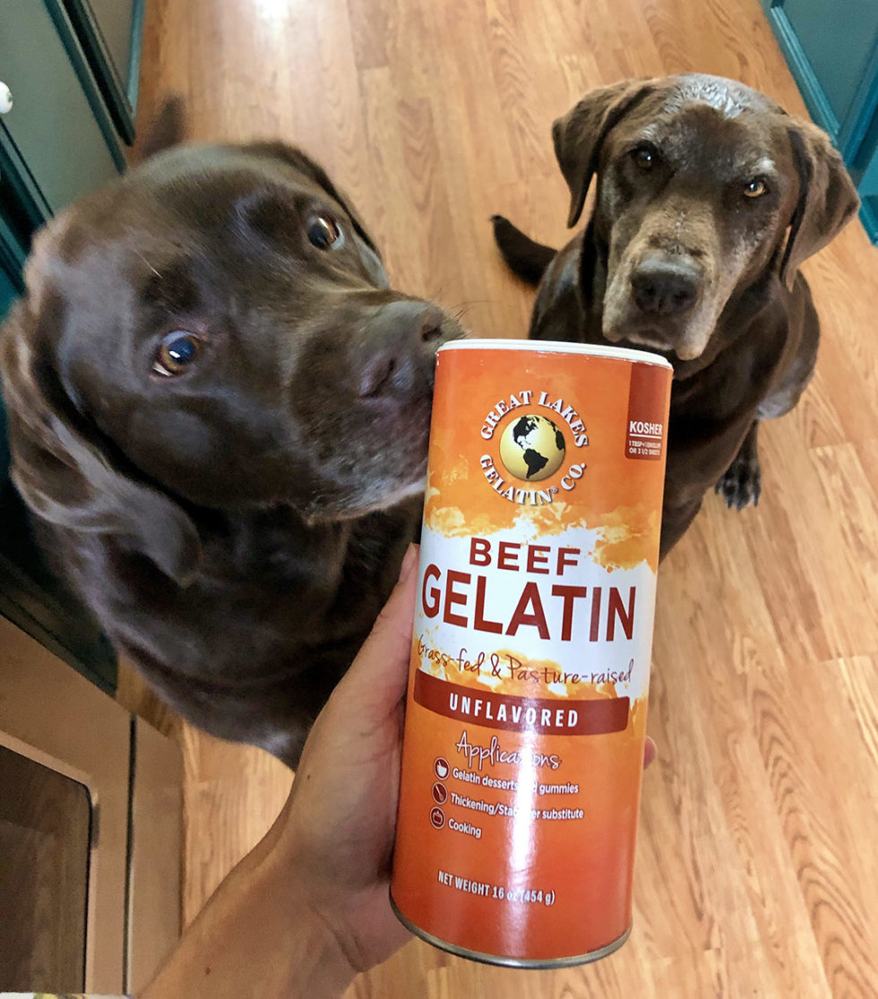 gelatin benefits for dogs