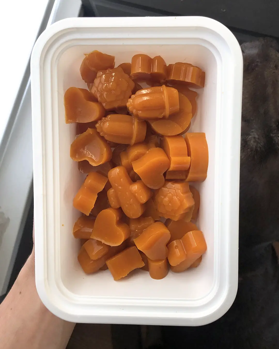 Pumpkin Gelatin Dog Treat Recipe