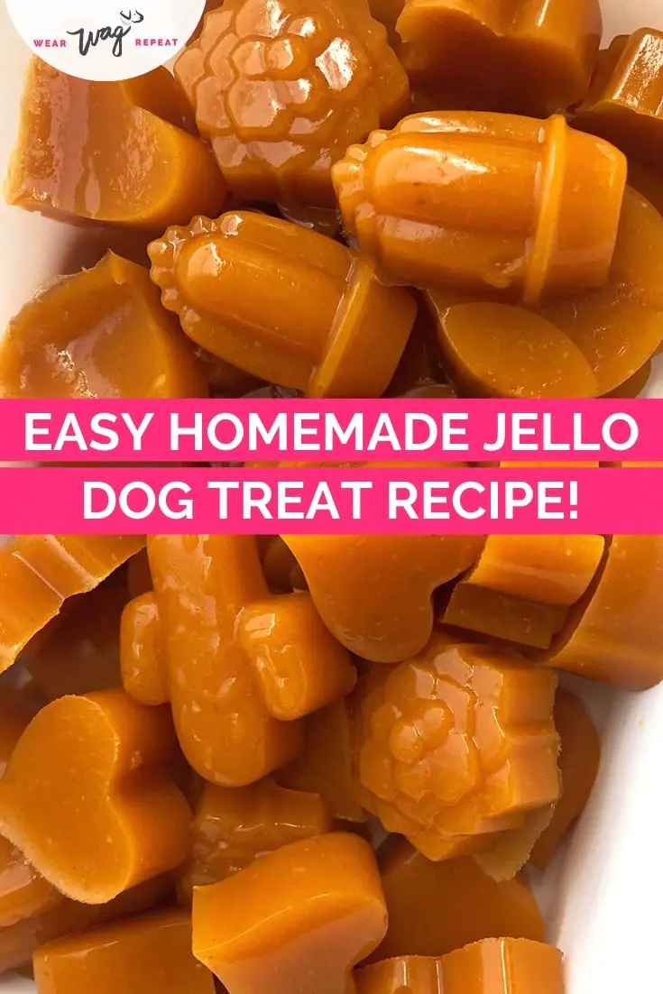 homemade jello dog treat recipe