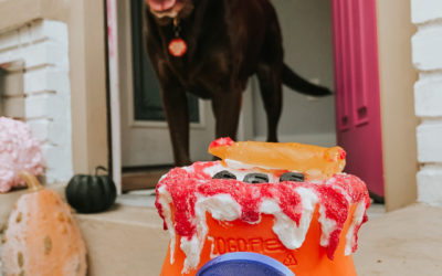 3 Halloween Recipes for the West Paw Toppl Dog Toy