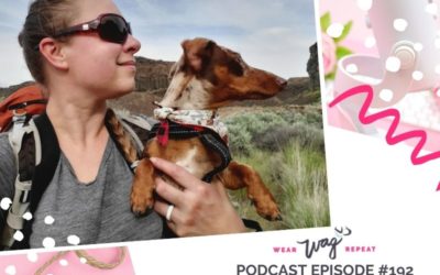Podcast Episode 192: How This Dog Blogger Makes $5-10K Per Month: Blog Monetization