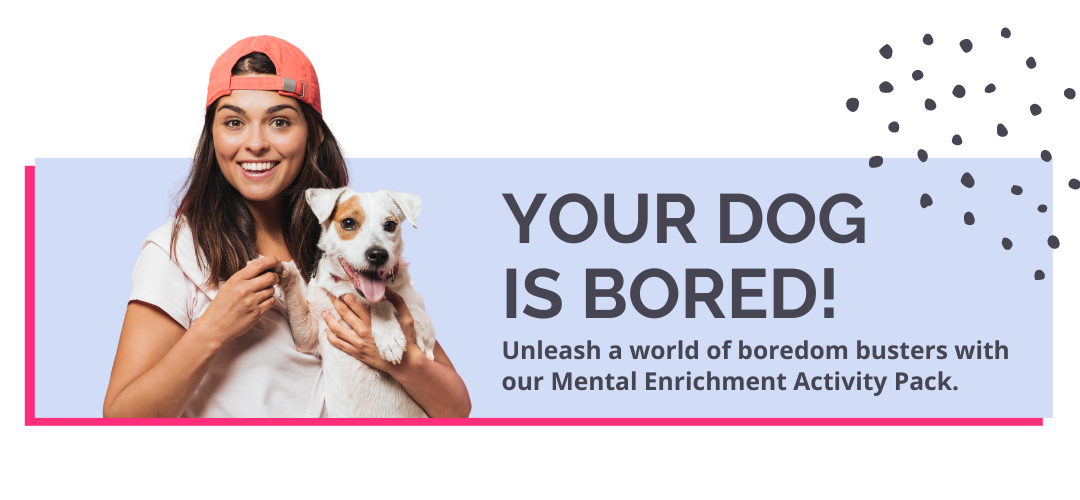 your dog is bored! unleash a world of boredom busters in our canine enrichment activity pack