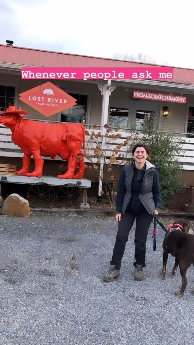 Adventures with Burt and Lucy are definitely my favorite part of my life! I love that they’re 10 years old and still up for going new places and trying new things. 

Can you guess what the big red cow’s name is?!? #cowhumor 🐄

This is all from our trip to Lost River, WV this week:
📍 @lostrivertradingpost 
📍 cranny crow overlook 
📍 @renovatinghounds