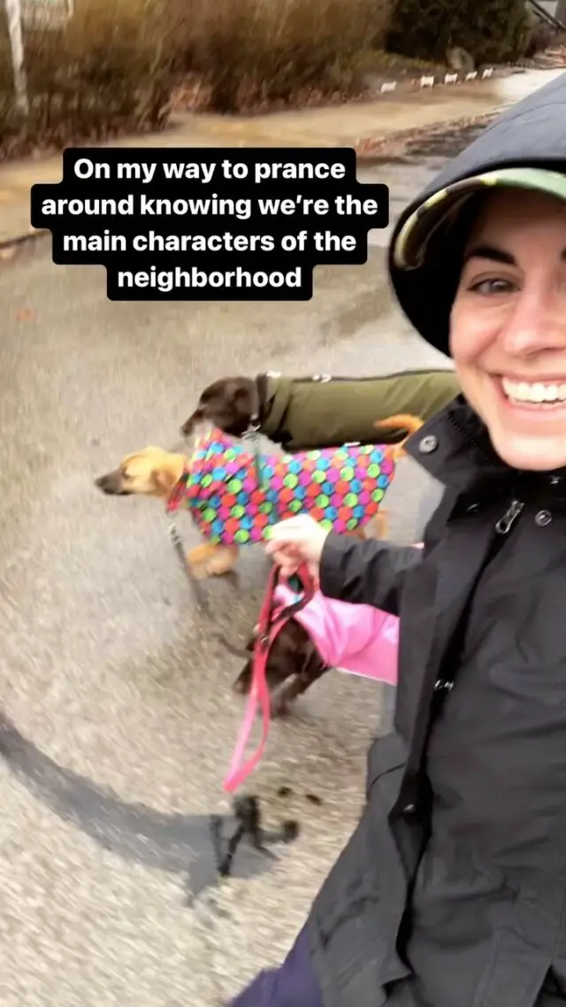 Comment if you can spot my biggest flex in this video 💖 

Foster pup Chloe is a black mouth cur shepherd mix. She’s maybe around 10 months old and available for adoption from @animal_lifeline_pittsburgh.