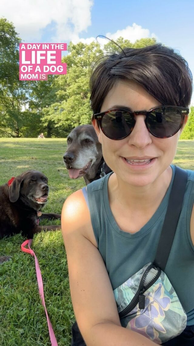 Should we record A Day in the Life of a Full-Time Dog Mom Content Creator? 🤔