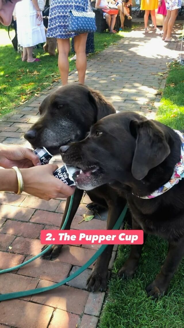 4 frozen dog treats to help you stay cool this week! 🧊🍦🐶

Let me know if you need recipes and ideas. It was fun to find this video from eating @thepuppercup a few summers back at a dog party in the Hamptons! #dogsofthehamptons 

#dogicecream #frozendogtreats #healthydogtreats #toppltuesday #olderlabs #2024heatwave