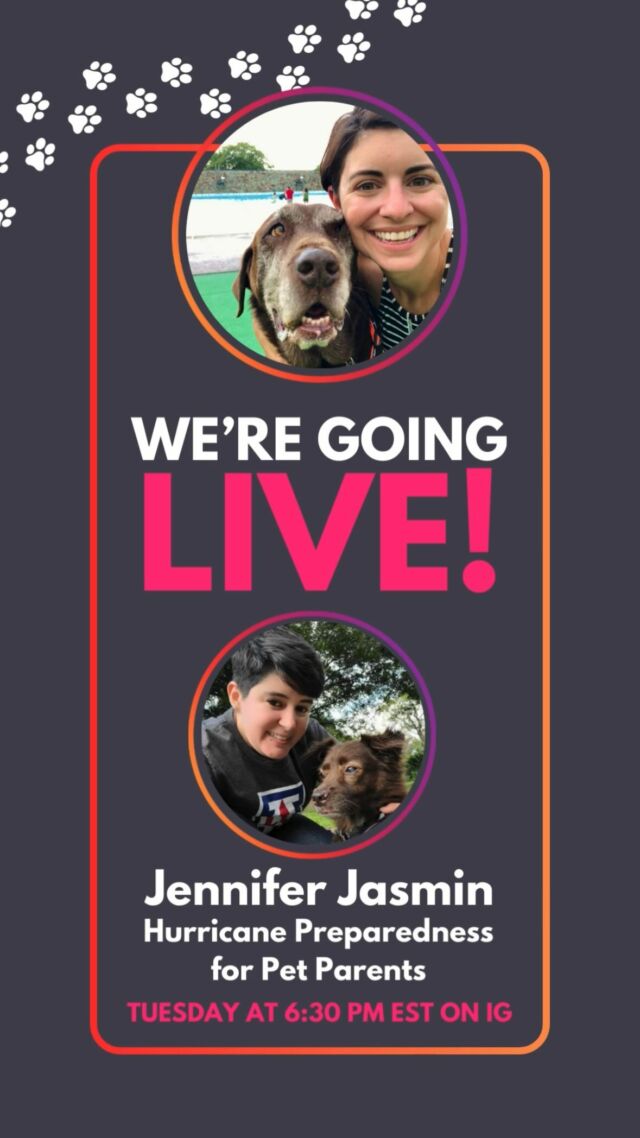 Learn about the NEW Hurricane Preparedness for Pet Parents course from @furriendly_critter_sitters 🐾 

Jen specialized in weather forecasting and typhoon tracking during her time in the Air Force. Now she owns a dog walking and pet sitting biz in Florida. 

She’s lived in a hurricane zone her whole life! 🌊🌪️

Her new course is exactly what you need if you’re new to a hurricane area or if you live in a hurricane zone and are a new pet parent. 

Please share this with your friends!! 

Enroll for just $59 through Friday 6/21 (price goes up to $79 after that)

Thanks Jen for being part of my Course Creator Mastermind!! I had a great time helping you create this course and I’m excited about how many pets and people you’ll be helping!!